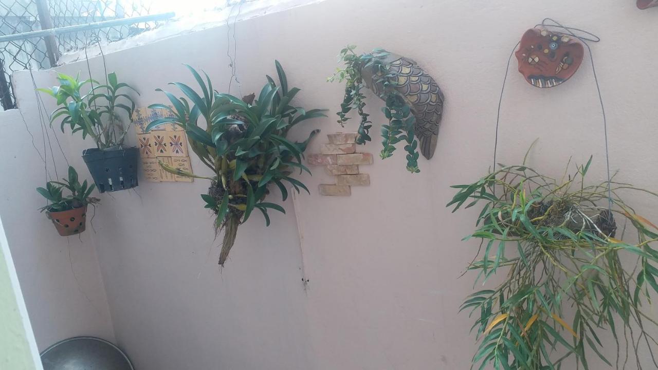 Kota'S House Homestay Hue Quarto foto
